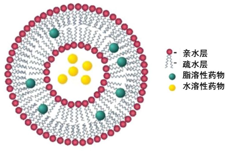 分析方法 | 脂質(zhì)體藥物生物樣品分析的挑戰(zhàn)